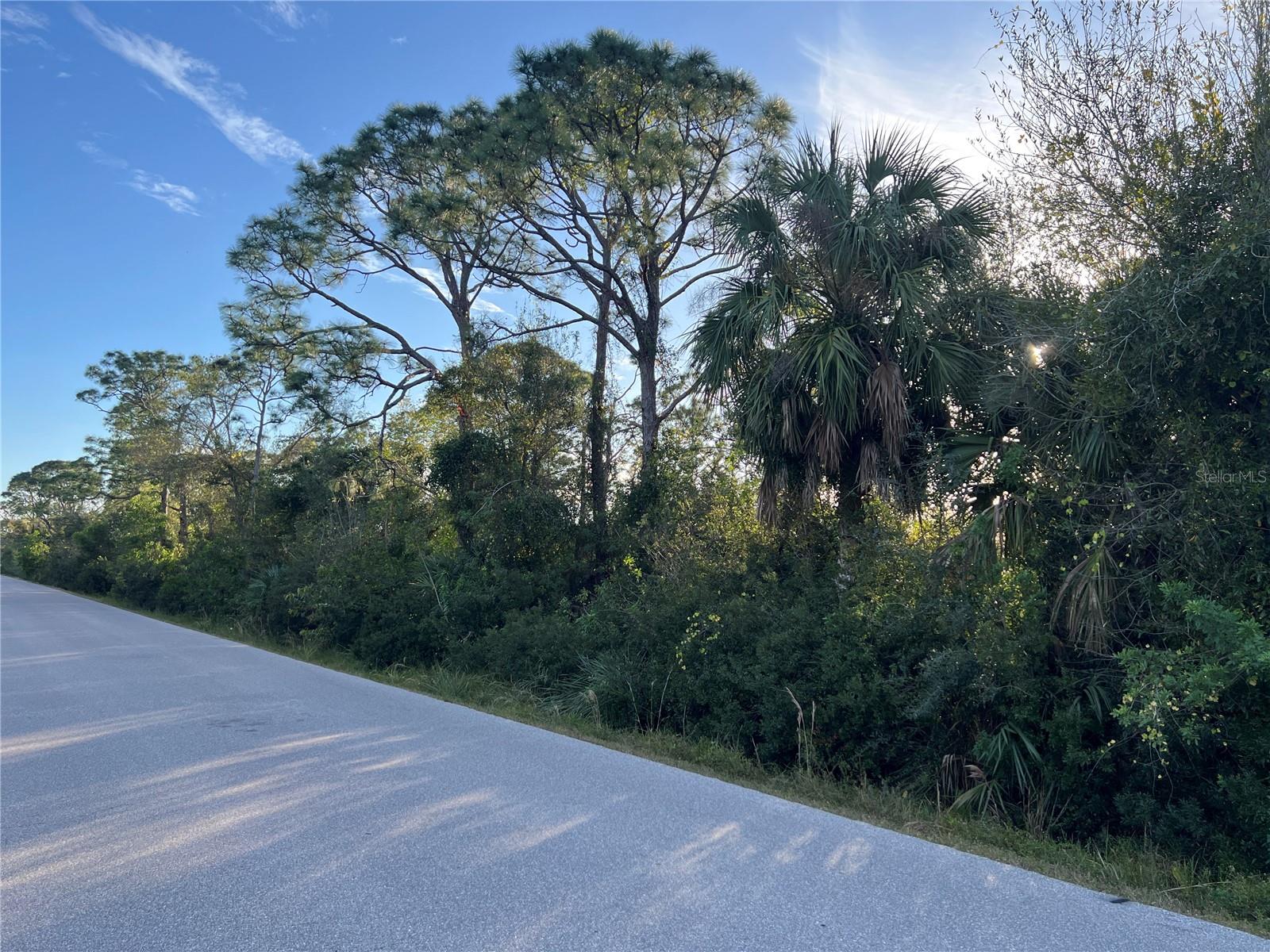 11197 / 11205 PINETRAIL RD