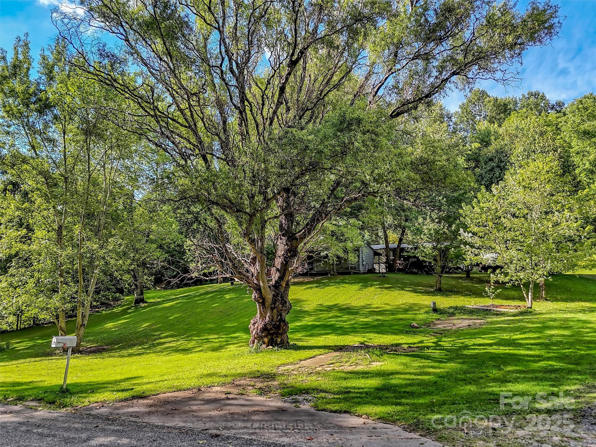323 Jody Cove