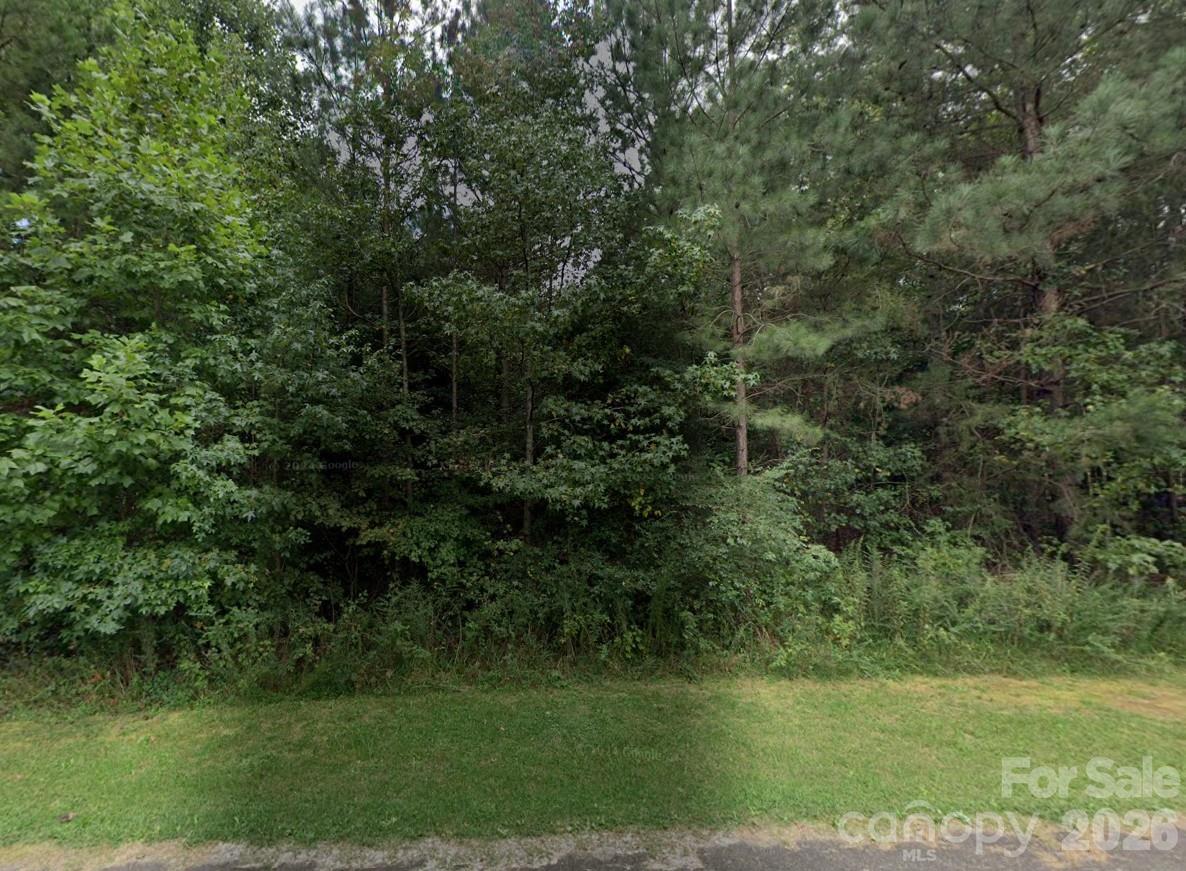 00 #24 Majestic Pine Drive
