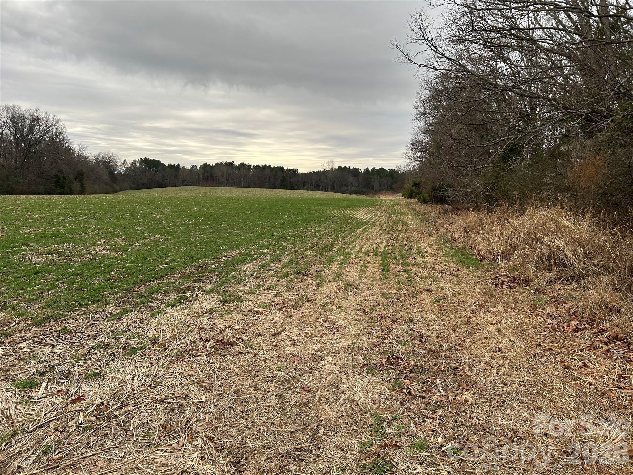 1440 Carl Taylor Road