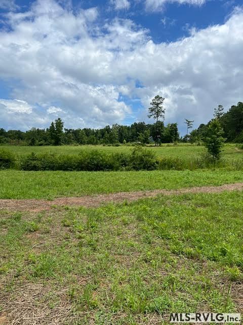 0000 Brown Town Rd, Brodnax VA 23920