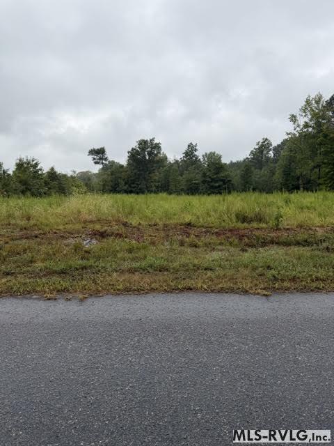 0000 Brown Town Rd, Brodnax VA 23920